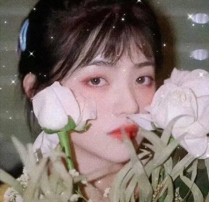 老虎队
